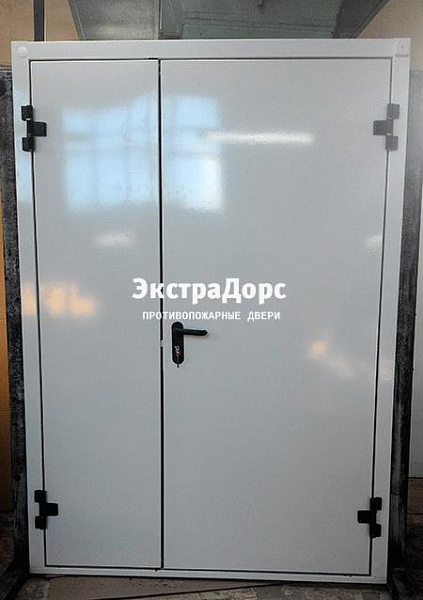 Противопожарная дверь EI 30 3 типа двупольная белая в Звенигороде  купить