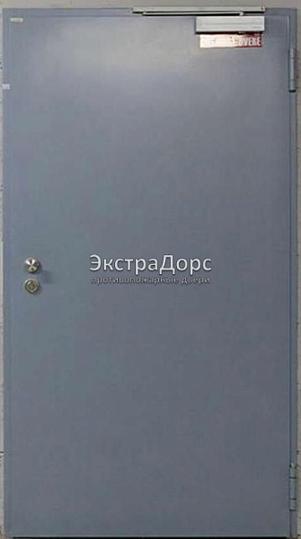 Противопожарная дверь однопольная дымогазонепроницаемая металлик в Звенигороде  купить