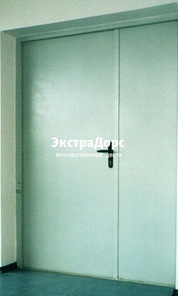 Противопожарная дверь двупольная белая без порога в Звенигороде  купить