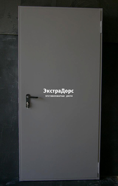 Дверь металлическая противопожарная EI 60 ДПМ 2 типа серая в Звенигороде  купить